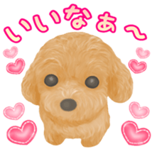 Toy Poodle & Toy Poodle sticker #7325277