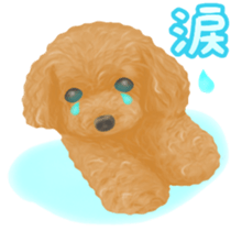 Toy Poodle & Toy Poodle sticker #7325279