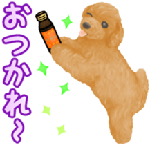 Toy Poodle & Toy Poodle sticker #7325283