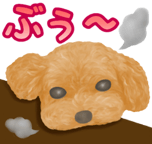 Toy Poodle & Toy Poodle sticker #7325286