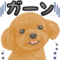 Toy Poodle & Toy Poodle sticker #7325288