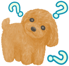 Toy Poodle & Toy Poodle sticker #7325289