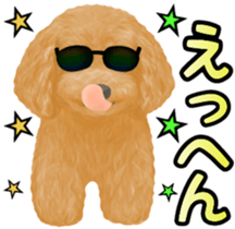 Toy Poodle & Toy Poodle sticker #7325290