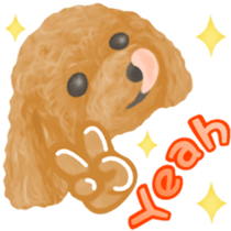 Toy Poodle & Toy Poodle sticker #7325291