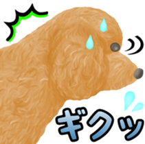 Toy Poodle & Toy Poodle sticker #7325294