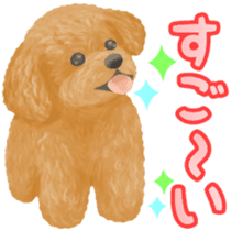 Toy Poodle & Toy Poodle sticker #7325295