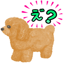 Toy Poodle & Toy Poodle sticker #7325298