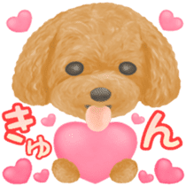 Toy Poodle & Toy Poodle sticker #7325300