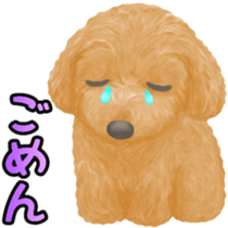 Toy Poodle & Toy Poodle sticker #7325301