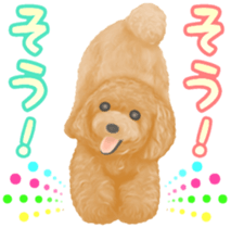 Toy Poodle & Toy Poodle sticker #7325302