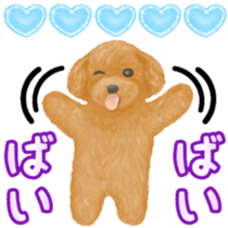 Toy Poodle & Toy Poodle sticker #7325303