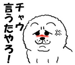 White Chow Chow dog, Chow-zou sticker #7327548