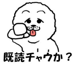 White Chow Chow dog, Chow-zou sticker #7327557