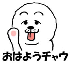 White Chow Chow dog, Chow-zou sticker #7327564