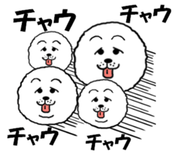White Chow Chow dog, Chow-zou sticker #7327568
