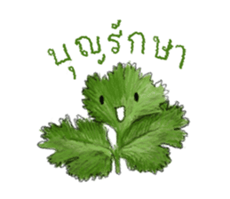 Veg x Fruit x Herb (Thai) sticker #7334556