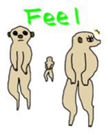 Hello from peacock feathers. English ver sticker #7335110