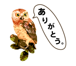 40 Owls_vol.2 sticker #7336084
