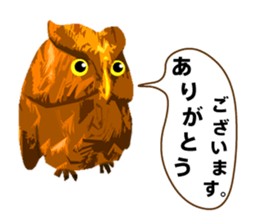 40 Owls_vol.2 sticker #7336085