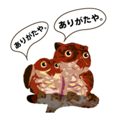40 Owls_vol.2 sticker #7336086