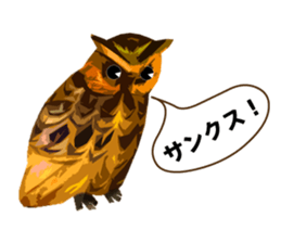 40 Owls_vol.2 sticker #7336089