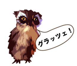 40 Owls_vol.2 sticker #7336091