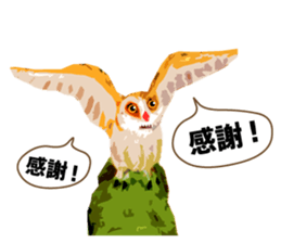 40 Owls_vol.2 sticker #7336093