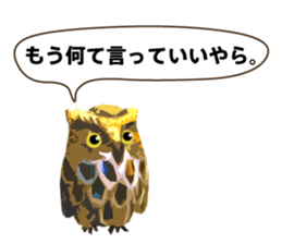 40 Owls_vol.2 sticker #7336102