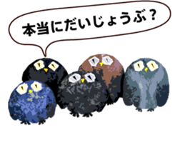 40 Owls_vol.2 sticker #7336111