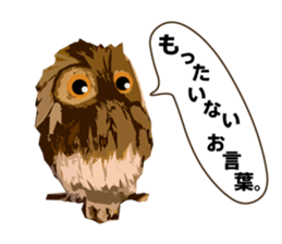40 Owls_vol.2 sticker #7336113