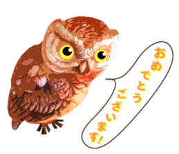 40 Owls_vol.2 sticker #7336120