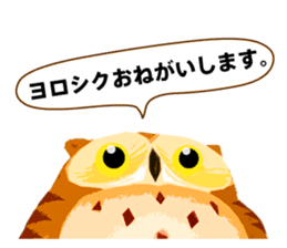 40 Owls_vol.2 sticker #7336122