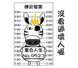 Zebra family's daily life sticker #7336165