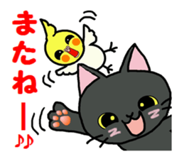 Sticker of an expressive cat2 daily life sticker #7338403