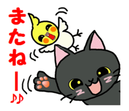 Sticker of an expressive cat2 daily life sticker #7338403
