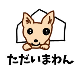 HAPPY! HAPPY! HAPPY Dog! sticker #7338590