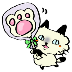 Kanazawa,Ishikawa cat Giuliano 002