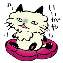 Kanazawa,Ishikawa cat Giuliano 002 sticker #7338767