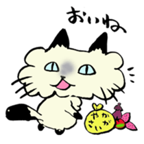 Kanazawa,Ishikawa cat Giuliano 002 sticker #7338785