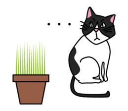 moco chan & P chan sticker #7340080