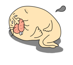 Seal of the external color sticker #7343434