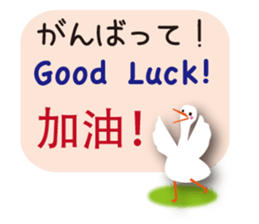 Duck speaks Japanese, Taiwanese,English sticker #7343790