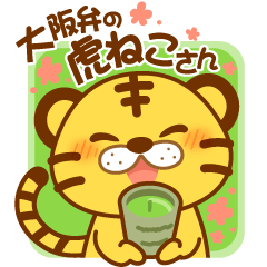 Osaka of tiger cat