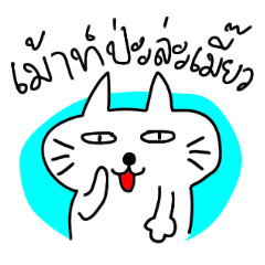 MEOW ChAT