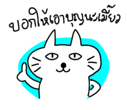 MEOW ChAT sticker #7347327