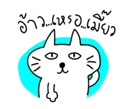 MEOW ChAT sticker #7347331