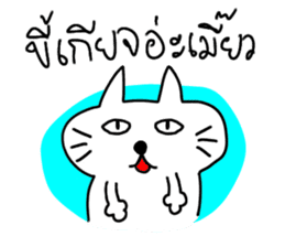 MEOW ChAT sticker #7347332