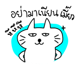 MEOW ChAT sticker #7347333