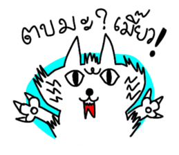 MEOW ChAT sticker #7347334