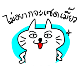 MEOW ChAT sticker #7347345
